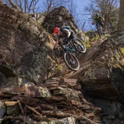 Stans NoTubes Flow S2 6-Bolt 29er Rear MTB Wheel - SRAM XDR -Spin And Ride 6 510