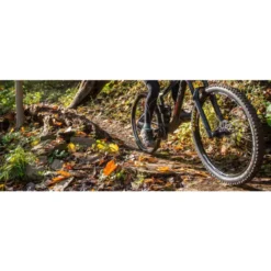 Stans NoTubes Arch MK3 G2 29er Boost 15x100/12x142 MTB Wheelset -Spin And Ride 7 395