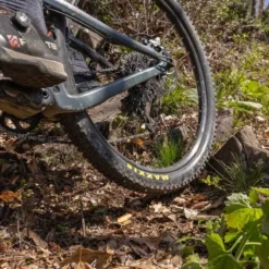 Stans NoTubes Arch S 6-Bolt 29er Rear MTB Wheel - SRAM XDR -Spin And Ride R7 14