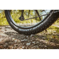 Schwalbe Smart Sam Performance Line 29 X 2.60 MTB Tyre - Black